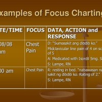 What Does Focus Charting Mean