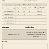 What Does Patient Charting Mean