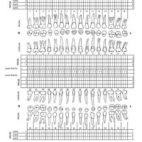 What Information Is Included In Periodontal Charting