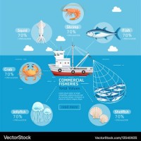 What Is A Charter Fishing Business