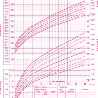 What Is A Child Growth Chart
