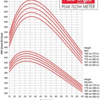 What Is A Peak Flow Chart