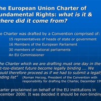 What Is Charter Of Fundamental Rights