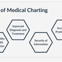 What Is Charting In The Medical Field