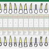 What Is Dental Perio Charting