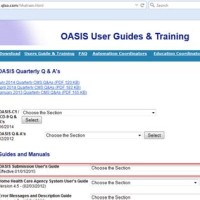 What Is Oasis Medical Charting