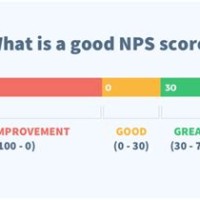 What Is P Chart And Nps Score