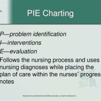 What Is Pie Charting In Nursing