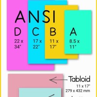 What Is Size Of Chart Paper