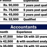 What Is The Monthly Salary Of Chartered Accountant