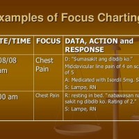 What Is The Primary Purpose Of Focus Charting