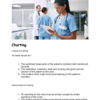 What Is The Purpose Of Charting In Nursing