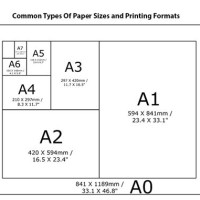 What Is The Size Of A Normal Chart Paper