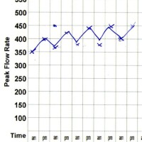 What Should A Peak Flow Chart Look Like