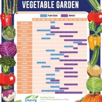 When To Plant Vegetables Chart