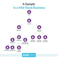 Where Does Hr Fit In An Chart