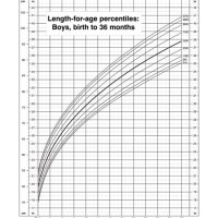 Where Is My Baby On The Growth Chart