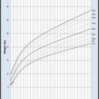 Who Baby Growth Chart Excel