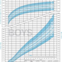 Who Child Growth Charts Excel Template