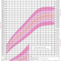 Who Child Height Chart