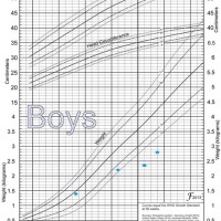 Who Fenton Preterm Growth Chart - Best Picture Of Chart Anyimage.Org