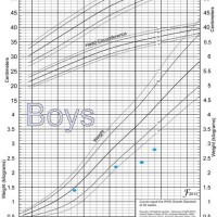 Who Fenton Preterm Growth Chart