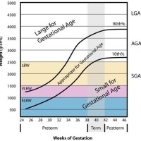 Who Gestational Age Growth Chart