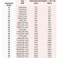 Who Gestational Age Weight Chart