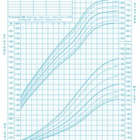 Who Growth Chart 2 Years