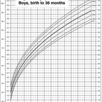 Who Growth Chart 8 Year Old Boy