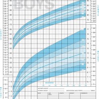 Who Growth Chart Baby Boy