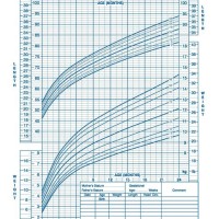 Who Growth Chart With Gestational Age Adjustment