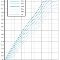 Who Height Growth Chart Calculator Amsterdam