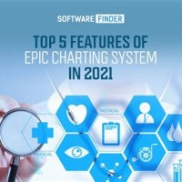 Who Owns Epic Charting System