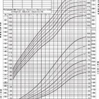 Who Paediatric Weight Chart