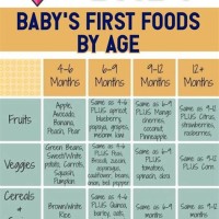 Wholesome Baby Food Chart By Age