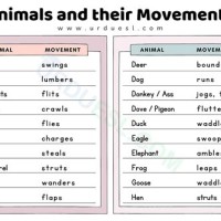 Wild Movement Chart