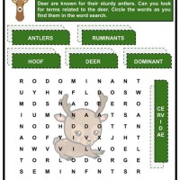 Wildlife Activity Chart