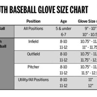 Wilson Youth Baseball Glove Size Chart