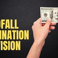 Windfall Elimination Provision Charter
