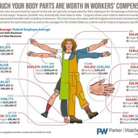 Workers Pensation Body Parts Chart