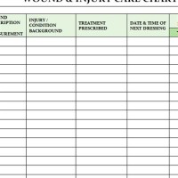 Wound Care Charting Exle