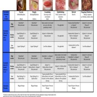 Wound Care Treatment Chart Canada