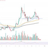 Xrp Growth Chart