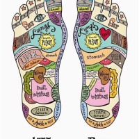 Young Living Foot Reflexology Chart