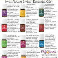 Young Living Mission Chart