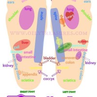 Young Living Oils Foot Chart