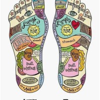 Young Living Reflexology Chart