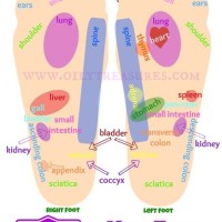 Young Living Vita Flex Foot Chart