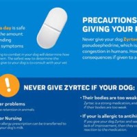 Zyrtec Dog Dosage Chart